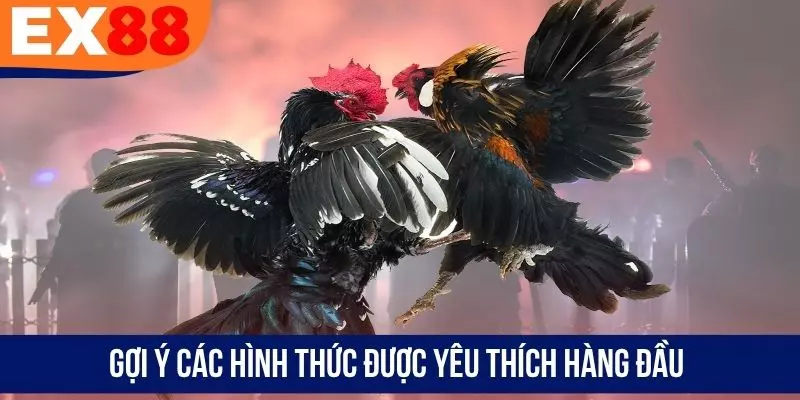 Gợi ý các hình thức được yêu thích hàng đầu